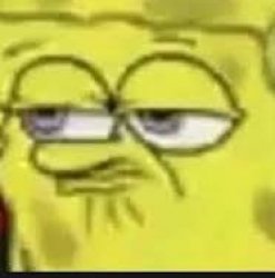 REally? Meme Template