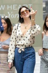 Dua Lipa Middle Finger Meme Template