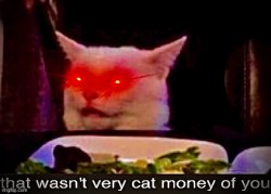 That wasn't very cat money of you Meme Template