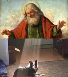 Dog god Meme Template