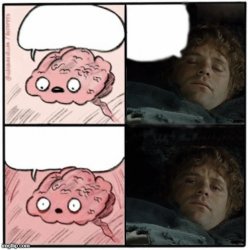 Sam brain sleep Meme Template
