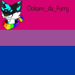 Ookami announcement Meme Template