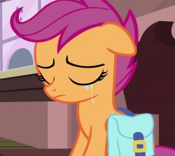 Very Sad Scootaloo (MLP) Meme Template