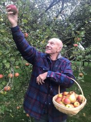 Patrick Stewart picking apples Meme Template