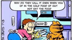 Garfield Engrish Meme Template