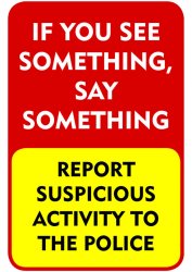 If you see something say something Meme Template