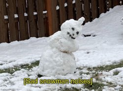 Sad snowman noises Meme Template