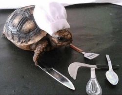 Cooking Turtle Meme Template