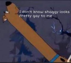 I don’t know shaggy looks pretty gay to me Meme Template