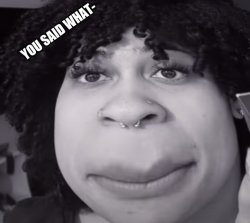 you said what- Meme Template