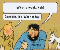 Tintin and captain wednesday Meme Template