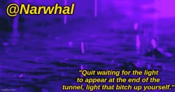 narwhal announcement temp Meme Template