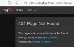 Hedgewik 404'd Meme Template