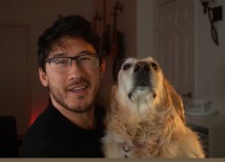 Markiplier and Chica Meme Template