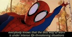 everybody knows that the best way to learn spiderman Meme Template