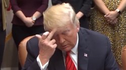 The finger Meme Template