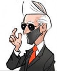 Biden flips his lid Meme Template