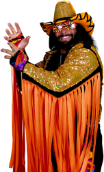 Png macho man randy savage Meme Template