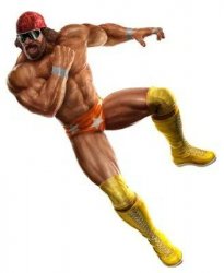 Png macho man randy savage flying elbow Meme Template