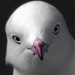 Fuq You Thinkin' Pigeon Meme Template