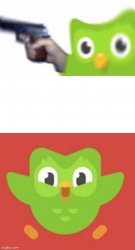 Scared Duolingo Bird Meme Template