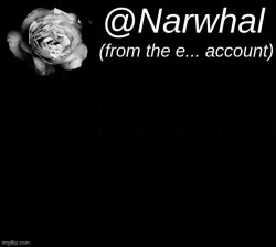 narwhal "e" temp Meme Template