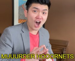 MURDER HORNETS Meme Template