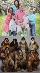 Nice vs Wild Families Meme Template