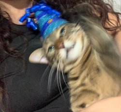 Whoosh Meme Template