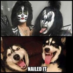 Huskies look like Gene Simmons and Kiss Meme Template