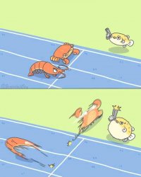 crab lobster racing Meme Template