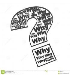 why? Meme Template