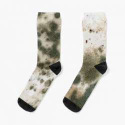 wet moldy socks Meme Template