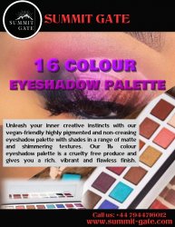 16 colour eyeshadow palette Meme Template