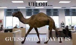 Happy Hump Day guess what day it is Meme Template