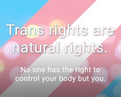 Trans rights are natural rights Meme Template