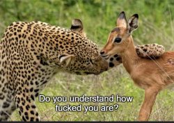 Do you understand how fucked you are? Meme Template