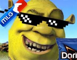 Shrek Cool Meme Template