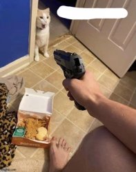 Gun to cat Meme Template