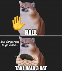 Halt doge Meme Template