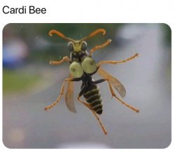 Cardi Bee Meme Template