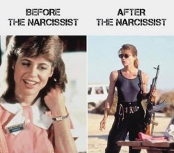 Before & after the narcissist Meme Template