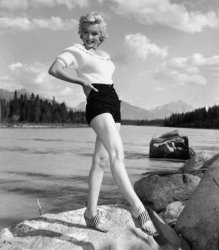 Marilyn Monroe legs Meme Template