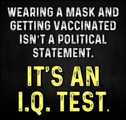 Mask vaccinated IQ test Meme Template