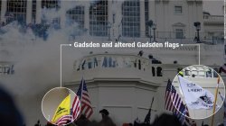 Maga riot symbols Gadsden flags Meme Template