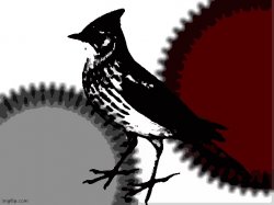 Skylark Meme Template