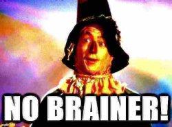 Wizard of Oz Scarecrow no brainer deep-fried Meme Template