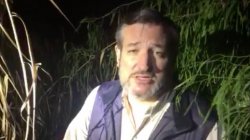 Ted Cruz hunting Illegals Meme Template