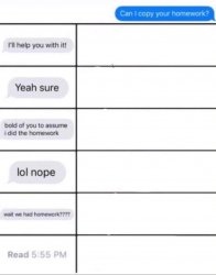 can i copy your homework text Meme Template