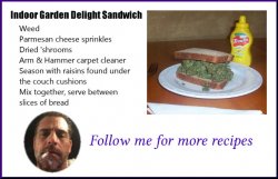 Hunter Biden sandwich recipe Meme Template
